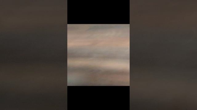 Якурка любитель подушек