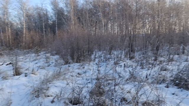 Земельный участок 10 соток.mp4