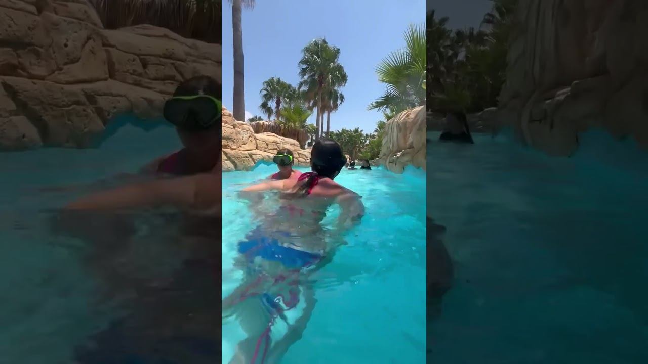 Sea Alanya Park, Турция. В клетке с акулами! Скаты, рыбки, затонувший город. #alanya #турция #sea
