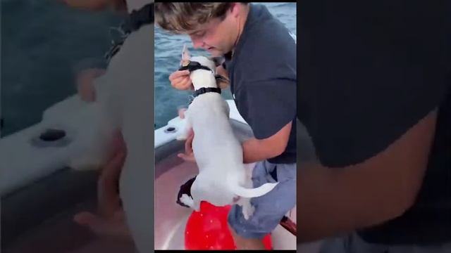 VID_20241207_204248_785.mp4