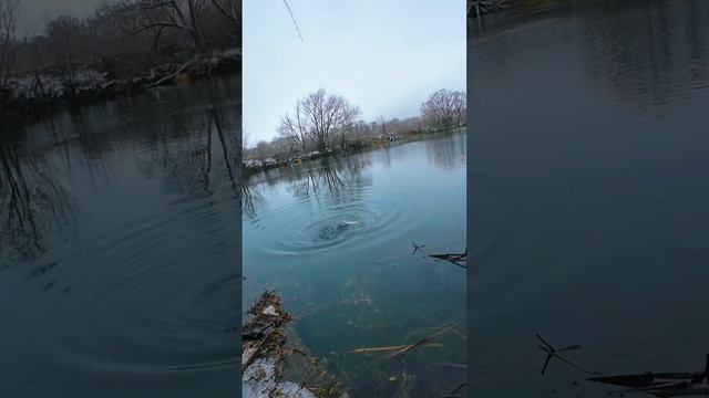 Щука на джиг в начале зимы