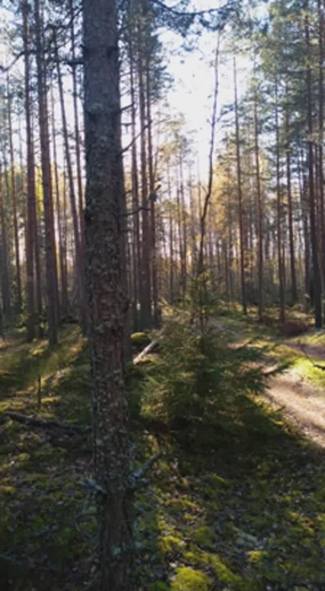 №59 Вхождение в состояние бодрости