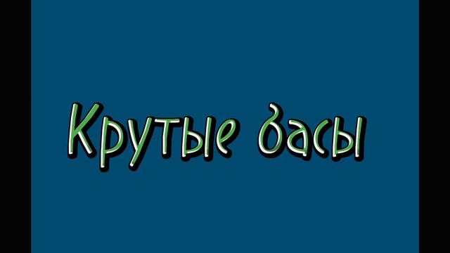Басы