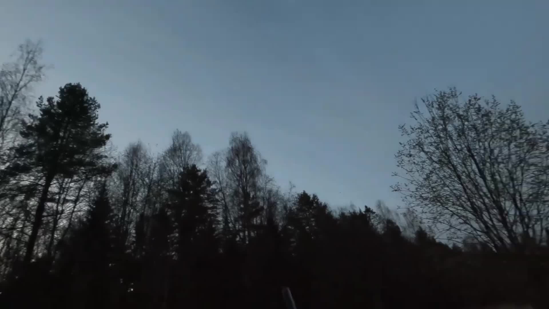 Охота Рыбалка