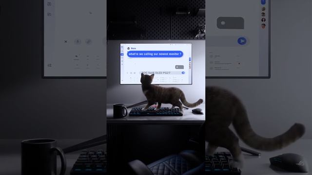 Как Asus придумывает названия для своих мониторов