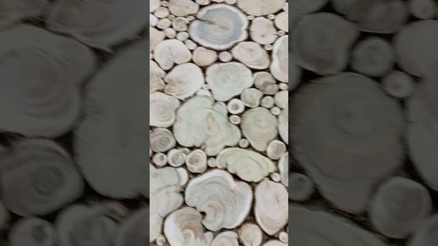 1000037621.mp4 пано из можжевельника