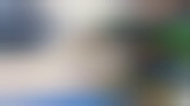 Video.Guru_20241207_220555868.mp4