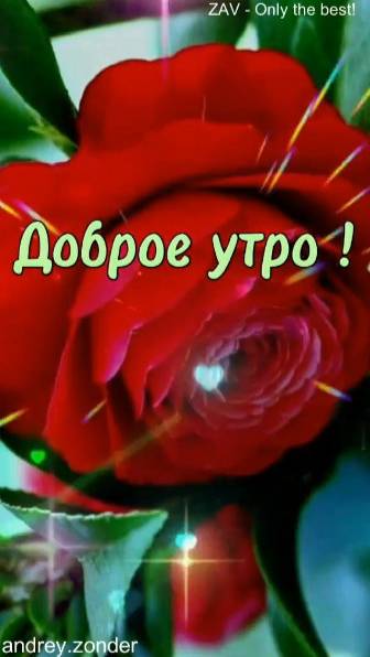 Доброе утро!) УЛЫБНИСЬ!) Хорошего дня!)