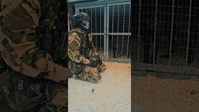 Здесь У вас будет время обдумать свое поведение !! #МалинуА #клетка #specialforces #fyp #fyp #dogtra