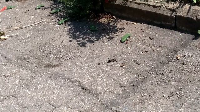 09.08.2022
#сезонконтентаRUTUBE