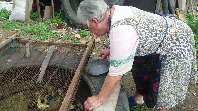 Памяти мамы