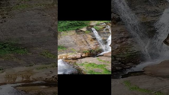 VID_20240721_142454.mp4