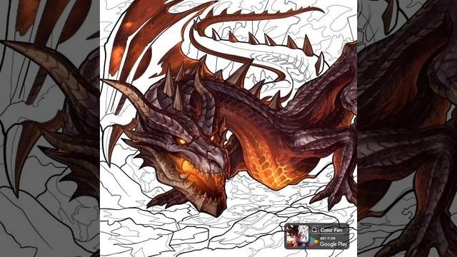 1000009317.mp4