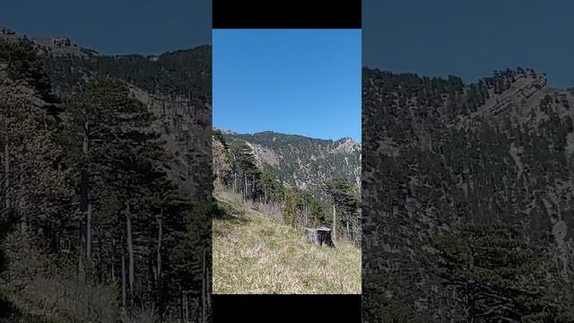 На Ялтинскую яйлу. 08.05.22.