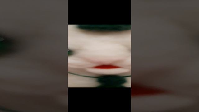 котик.mp4