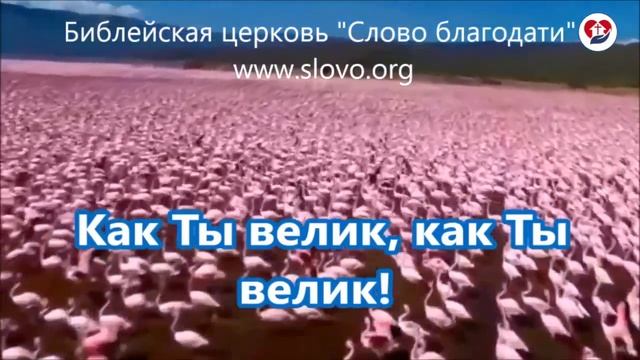 ПРИМИ свое ЧУДО прямо сейчас!
