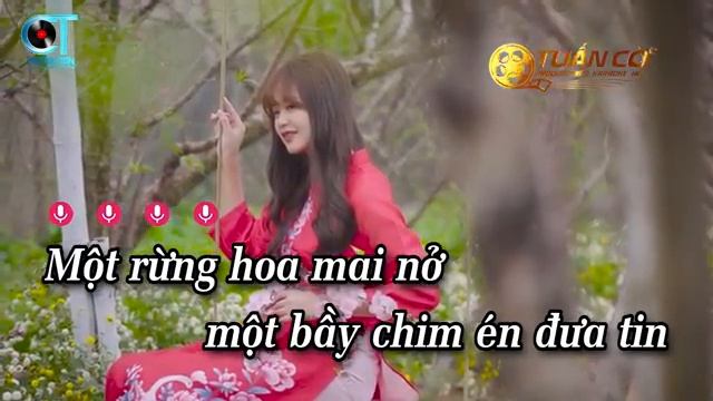 Liên Khúc Nhạc Xuân Tone Nữ  Câu Chuyện Đầu Năm