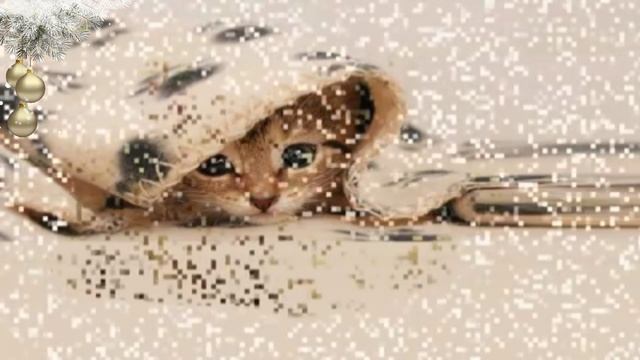 Увлекательной субботы!