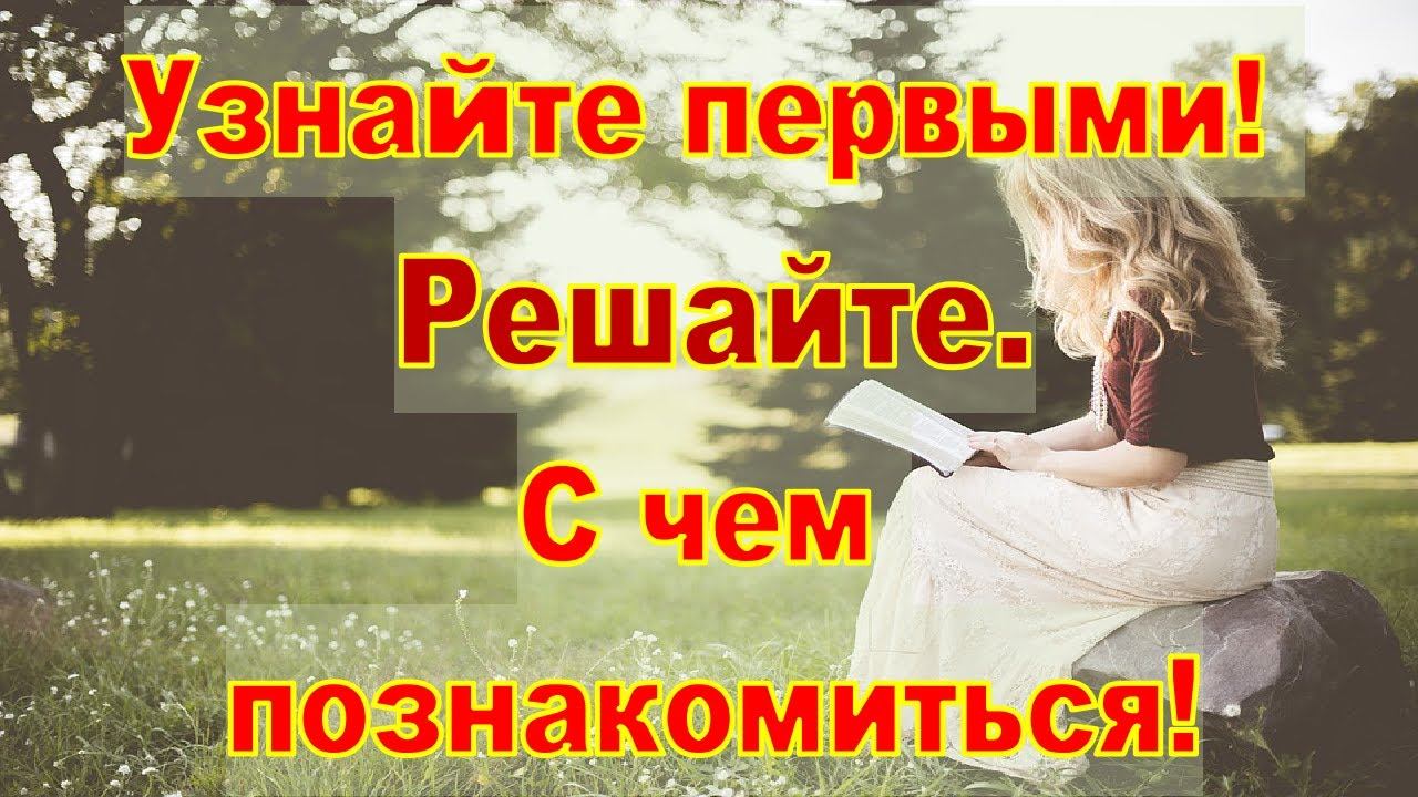 Узнайте про новинки издательской группы «РИПОЛ классик и издательства Freedom
