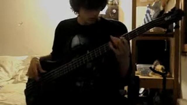 RHCP - The power of equality live ! ( Bass Cover )