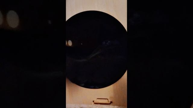 Небольшая драка
