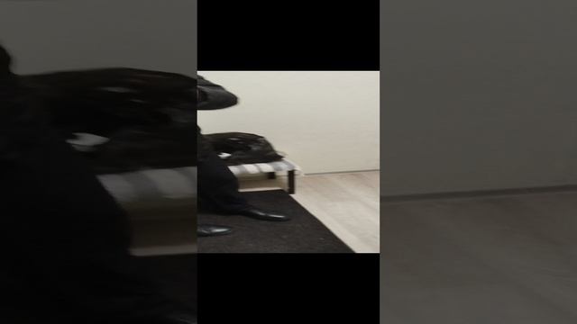 VID_20241207_153225.mp4