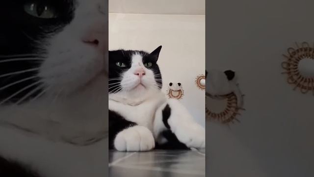 будет грустно смотри на повторе)))