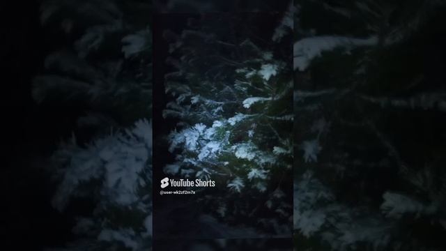 райская зима