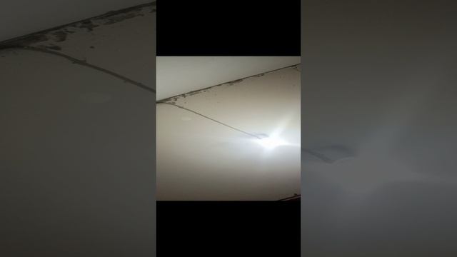 1000004501.mp4