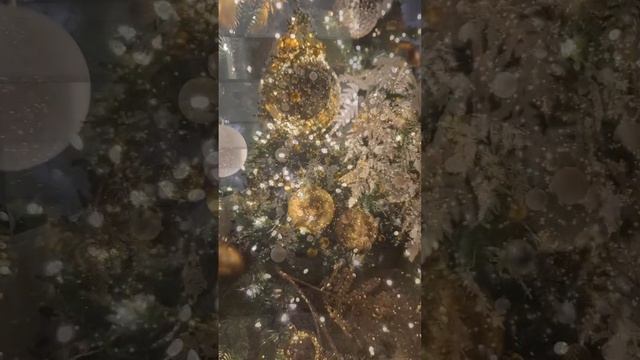 SILVER CITY 🐍 С наступающим Новым 2025 годом! 🎉 #shorts #новыйгод #москва #silver