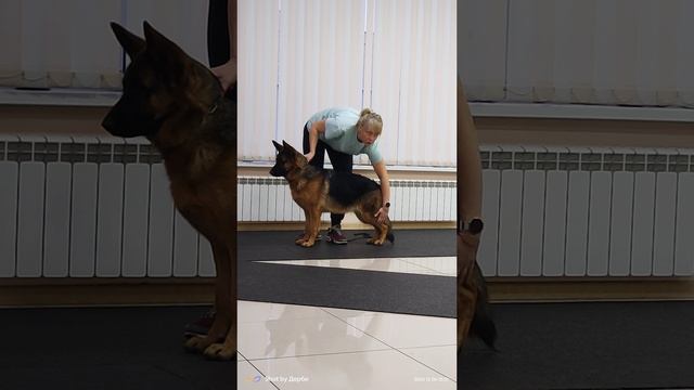 Ось Грация Империя.mp4