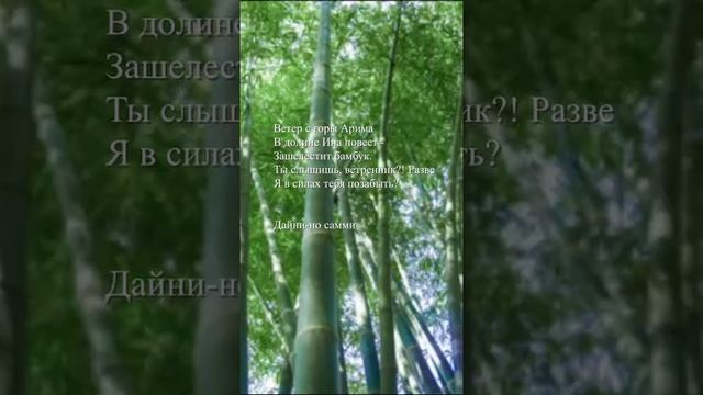 #shorts  Дайни-но самми - "Ветер с горы Арима"