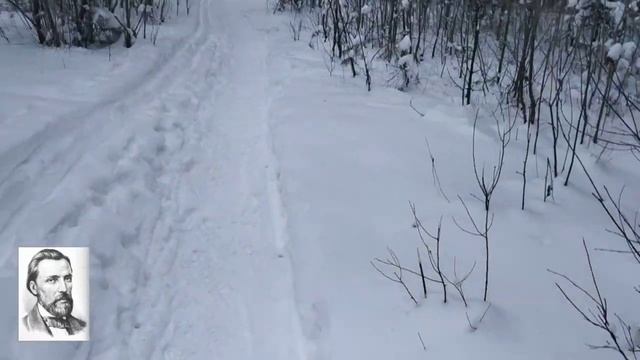 Жена ямщика. _классическая поэзия Никитин И. С. _