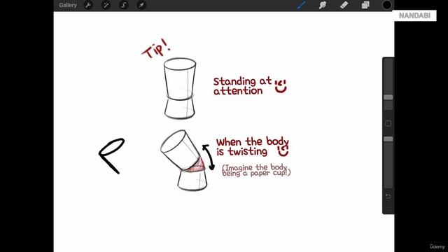 31 - Simplification of the human body