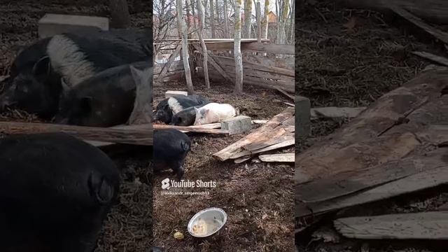Прораб ушёл - работа сразу брошена