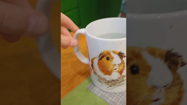 наш зимний влог едим в Ашан❄️🐾