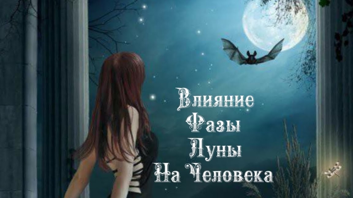 Влияние Фазы Луны на человека 7️⃣ декабря 2️⃣0️⃣2️⃣4️⃣ 🌒🌓🌔🌕🌖🌗🌘🌙🌛🌜🌝