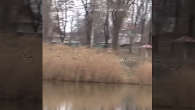 Покровск, ДНР.