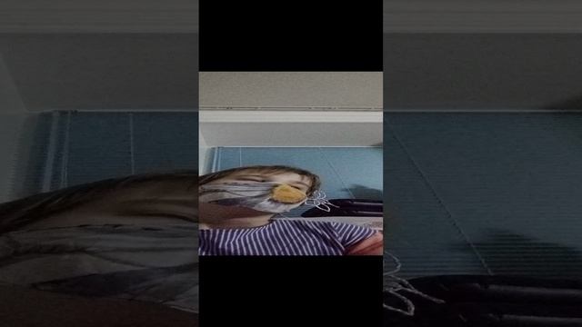 VID_20241207_184425.mp4