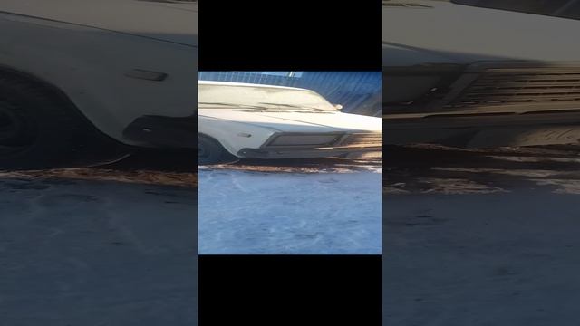 VID_20241207_124854.mp4