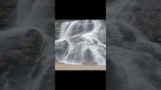 VID_20240723_125743.mp4