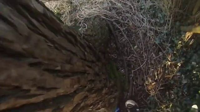 Go Pro: Manhunt: 1