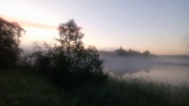 Вело 🚲 покатушка с ночёвкой 🌲