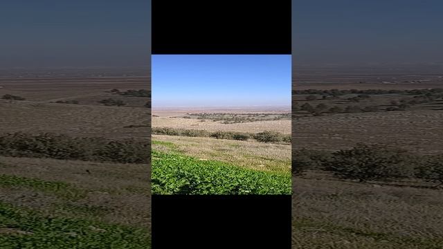 Гёбекли Тепе.16