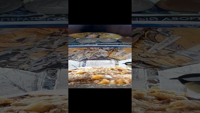 1000034782.mp4жизнь кормушки.07.12.2024г.