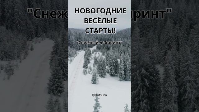 НОВОГОДНИЕ ВЕСЁЛЫЕ СТАРТЫ!