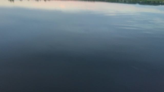 36