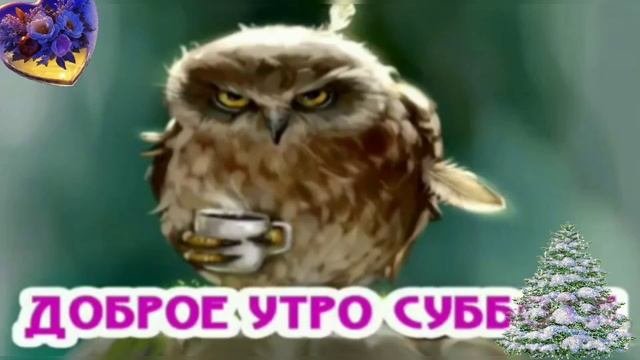 С субботним днём!