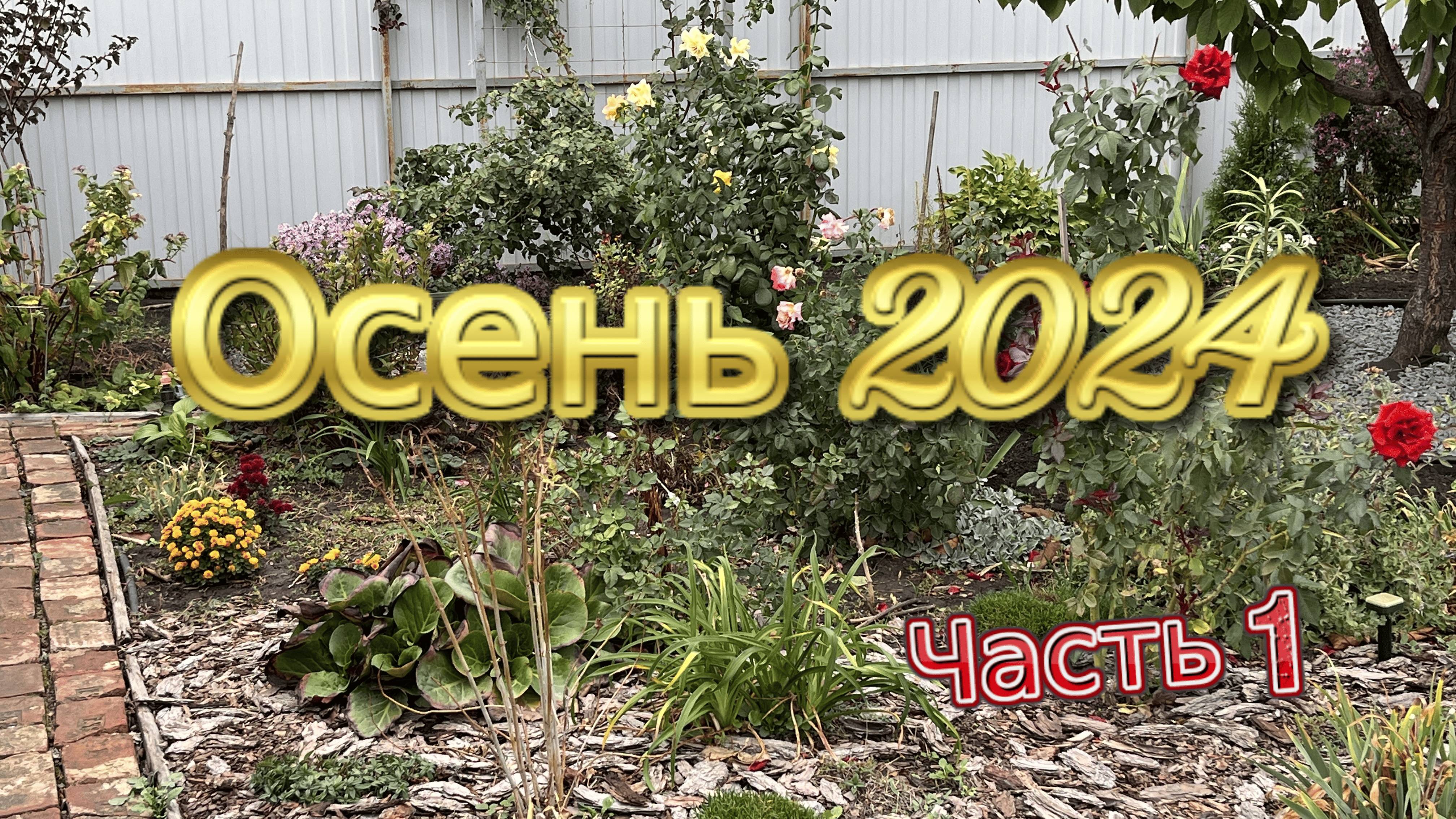 Осень 2024, часть1