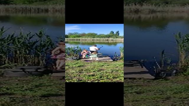 f0970288-45de-4b2f-b487-000e22e12fff